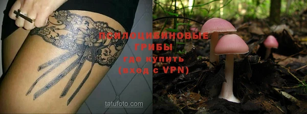 кокаин перу Вяземский