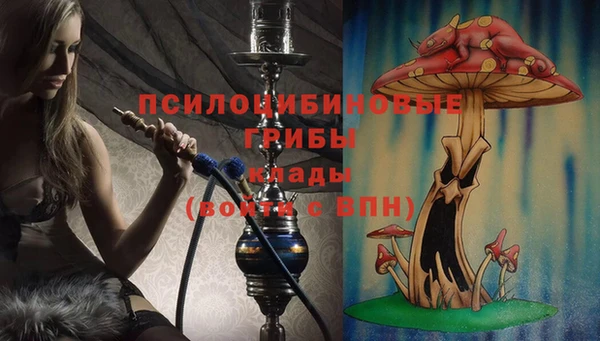 прущая мука Вязьма